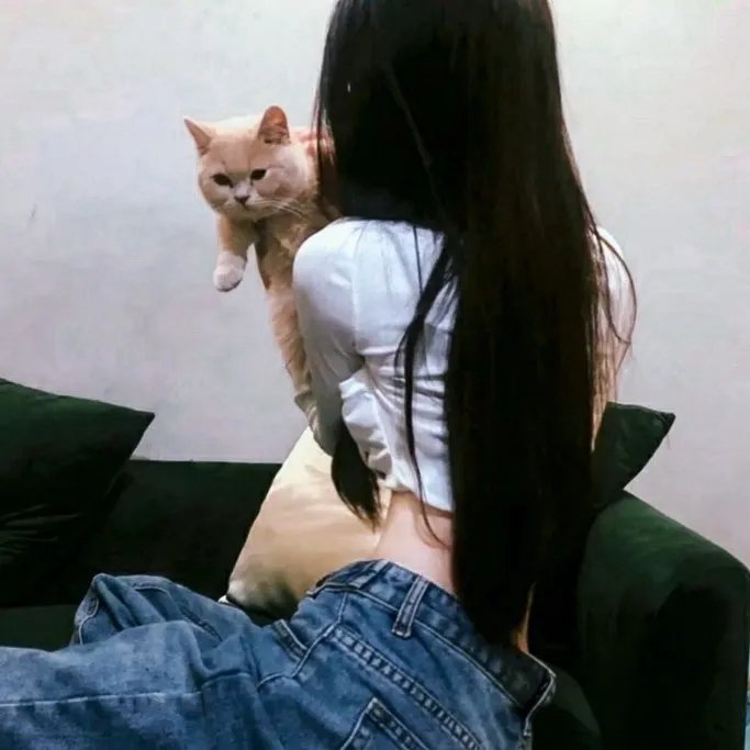 胖子的铁皮缠结