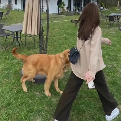 真爱有够杀